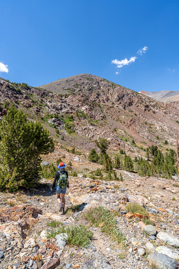 Woman hiking along the Bloody Canyon Trail in the Inyo National Forest.