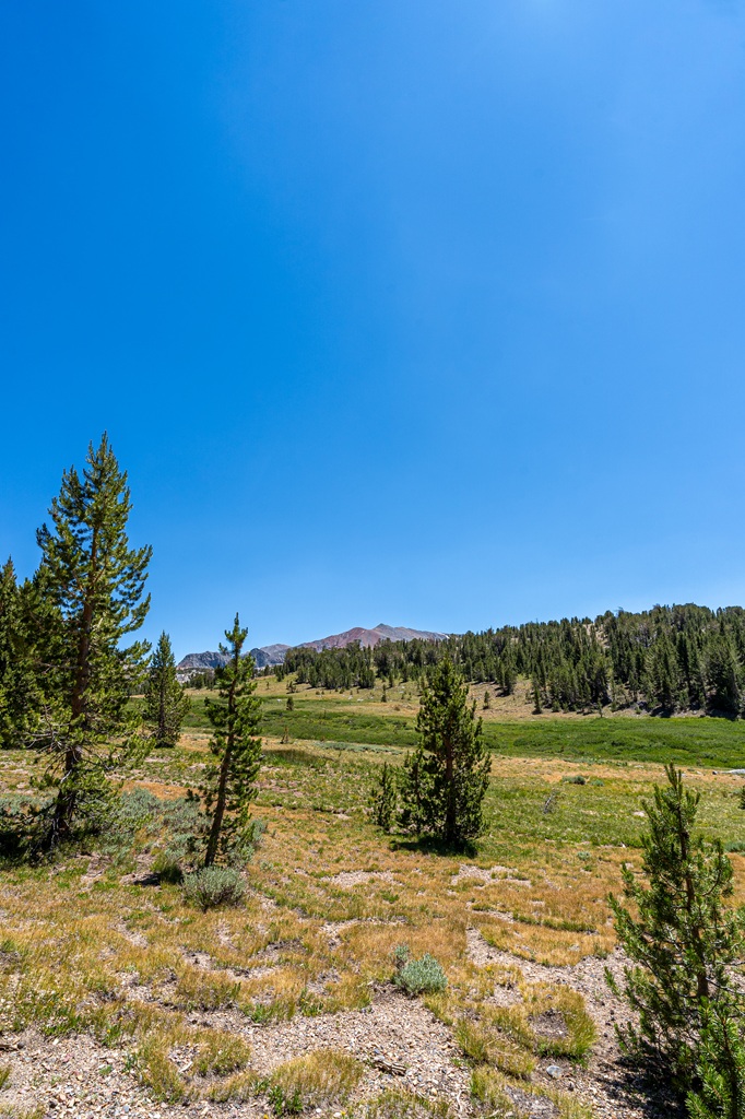 Views of open fields and meadows with mountain peaks in the distance seen from the Mono Pass Trail in Yosemite.
