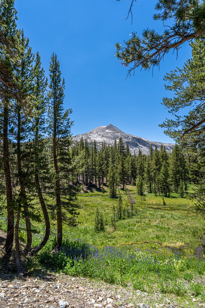 Mono Pass Trail in Yosemite National Park hiking guide.