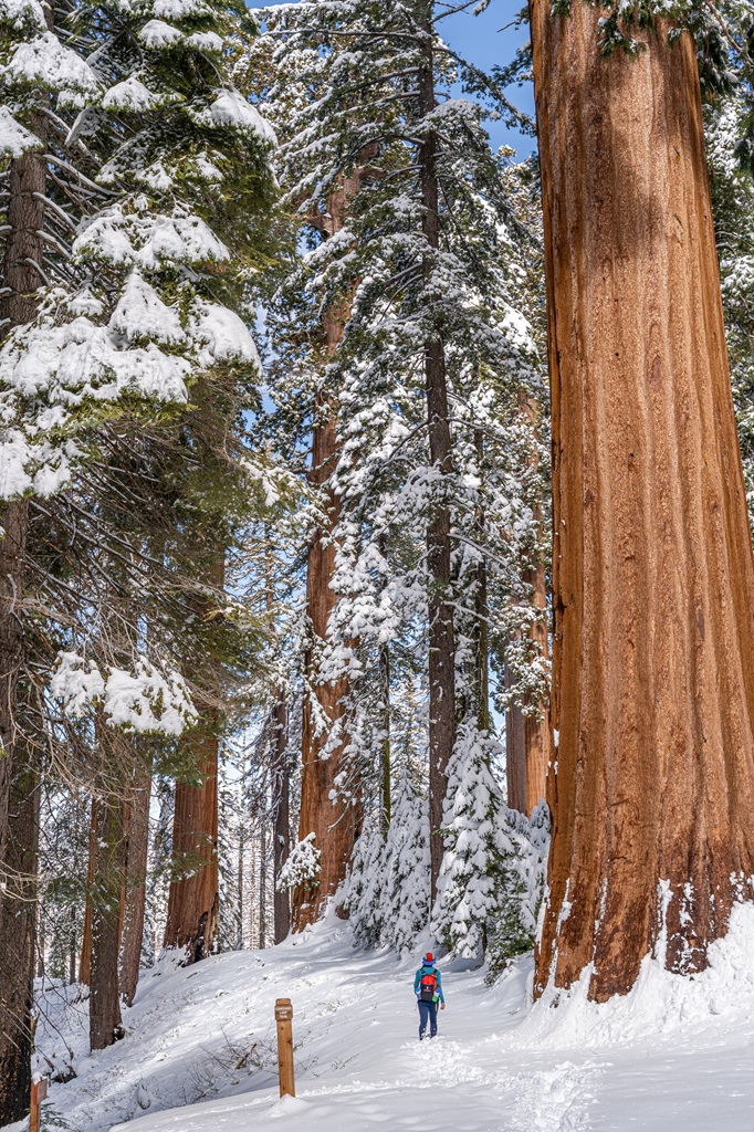 Woman hiking the Guardians Loop Trail in winter in Yosemite.