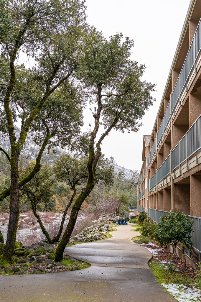 An honest Yosemite View Lodge review.