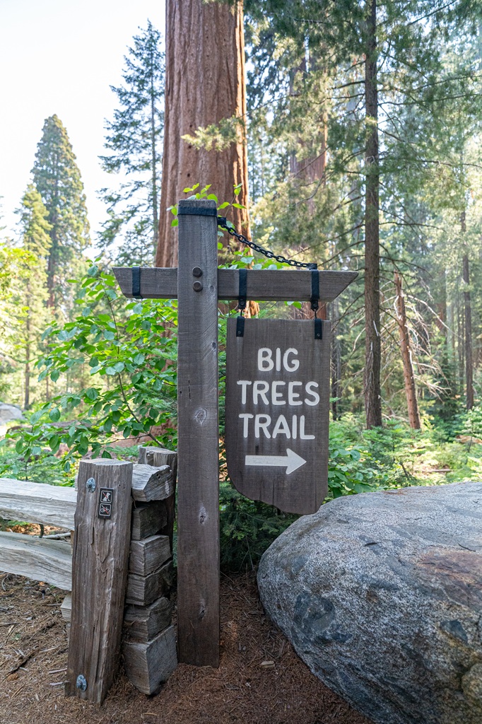 Big Trees Trail sign with an arrow pointing to the right.