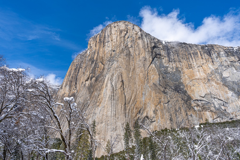View of El Capitan from El Capitan Meadow in Yosemite National Park in mid-winter.