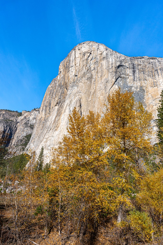 View of El Capitan from El Capitan Meadow in Yosmite National Park in mid-fall.