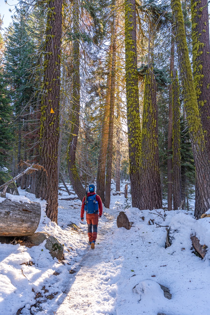 Man hiking along the Lakes Trail in Sequoia National Park after a snowstorm.