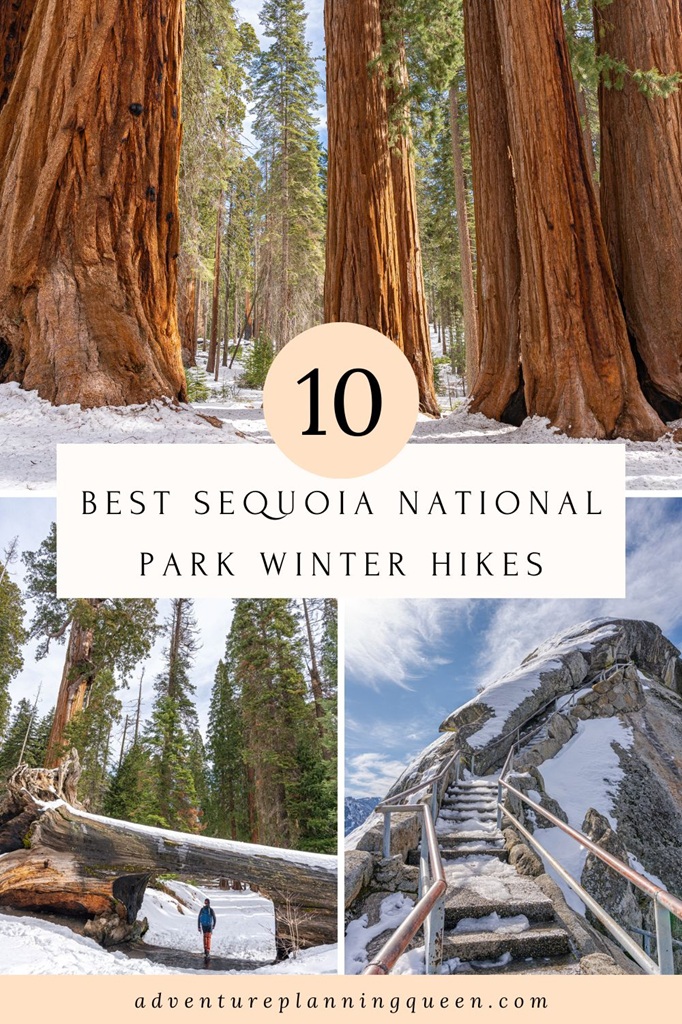 This blog post is a guide to the best Sequoia National Park winter hikes.