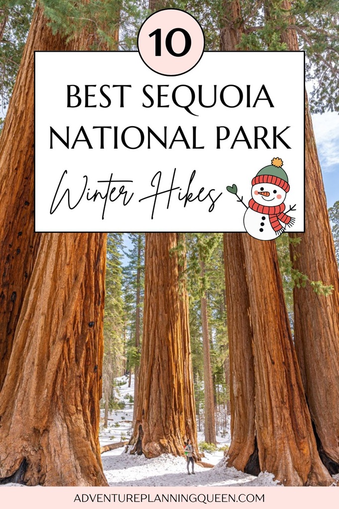 This blog post is a guide to the best winter hikes in Sequoia National Park.