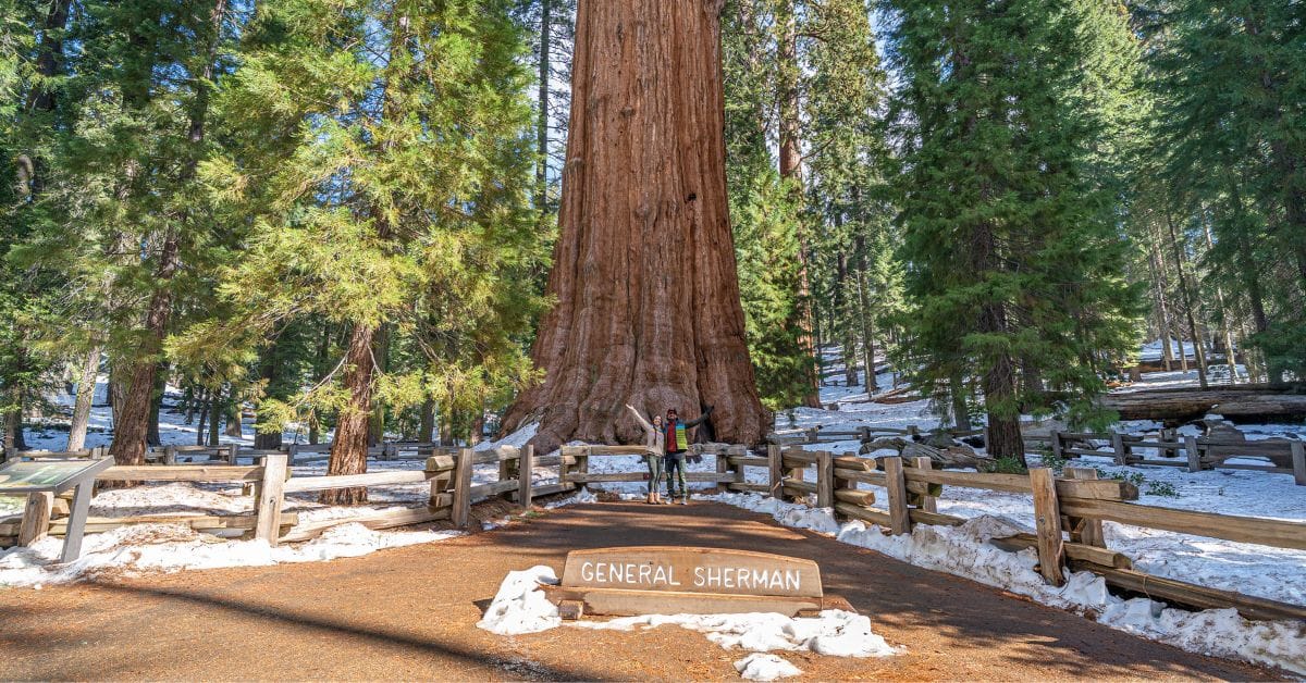 Sequoia National Park winter itinerary.