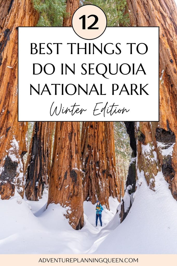 This blog post is a guide to the best winter activities in Sequoia National Park.