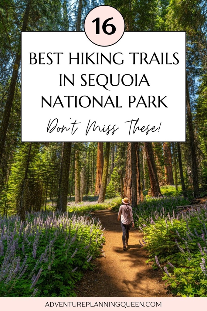 This blog post is a guide to the best trails in Sequoia National Park.