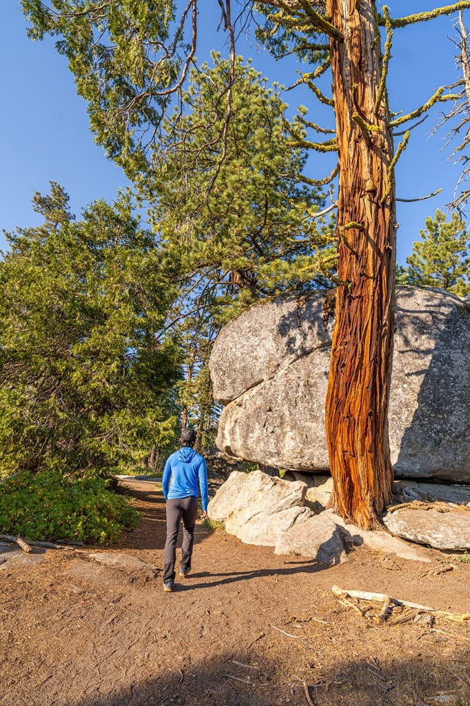 Man hiking on the Buena Vista Peak Trail in Kings Canyon National Park.