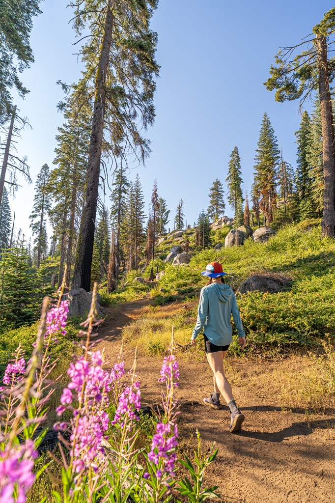 Woman hiking on the Buena Vista Peak Trail in summer in Kings Canyon National Park.