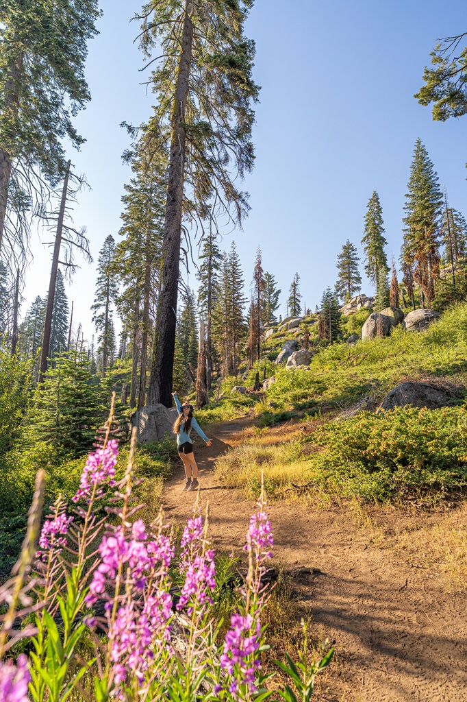 Woman posing for a picture on the Buena Vista Peak Trail with purple wildflowers in the foreground in Kings Canyon National Park.