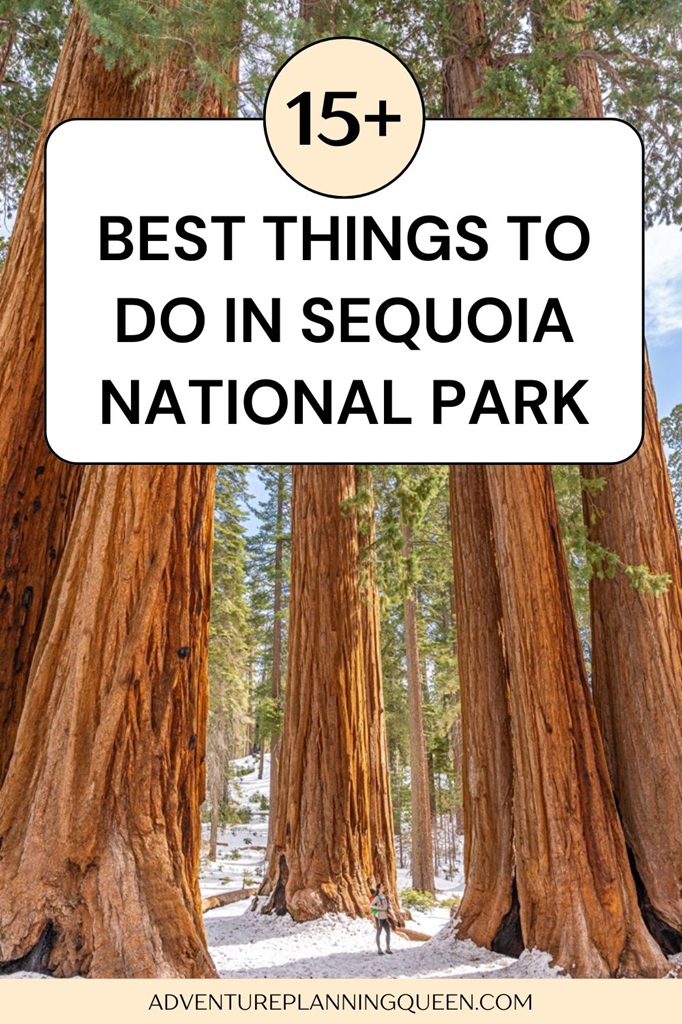 This blog post is a complete guide to fun things to do in Sequoia National Park.