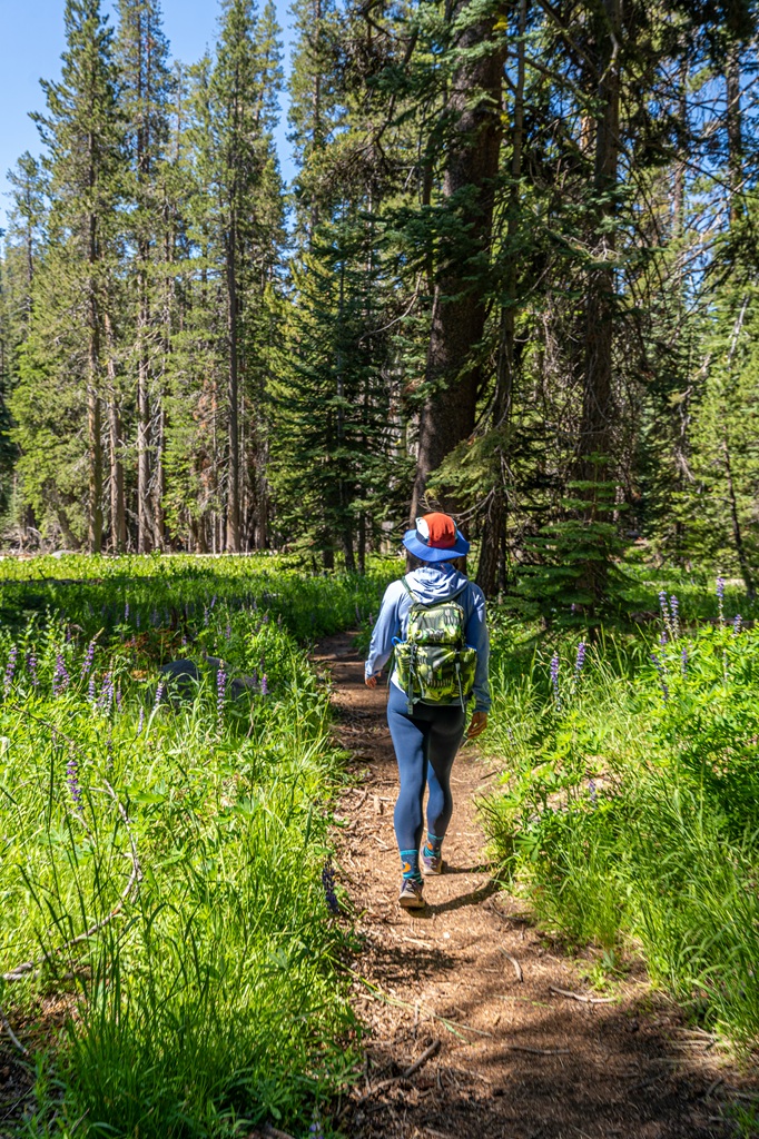 Woman hiking the North Dome Trail with lush, green meadows on both sides.