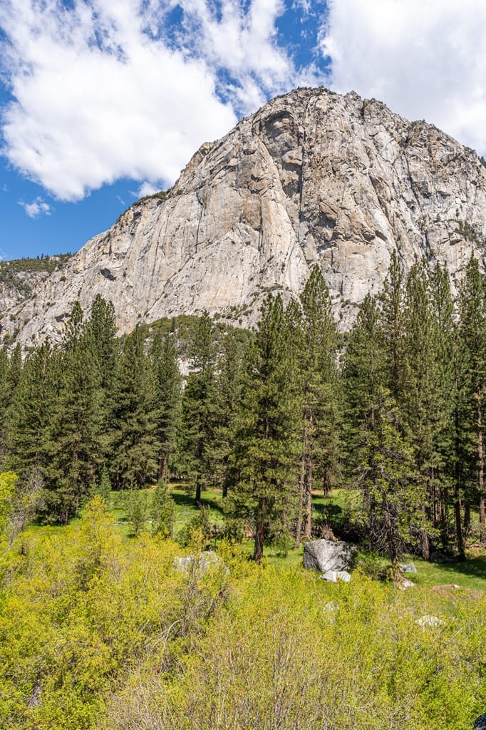 Zumwalt Meadow in Kings Canyon National Park.