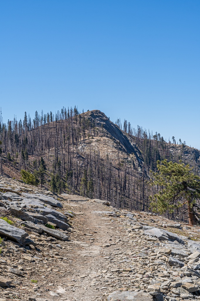 View of Big Baldy seen from the Big Baldy Trail in Kings Canyon National Park.