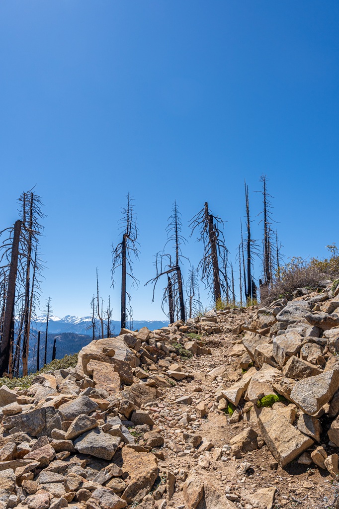 Big Baldy Trail in Kings Canyon National Park with snowy peaks in the distance.