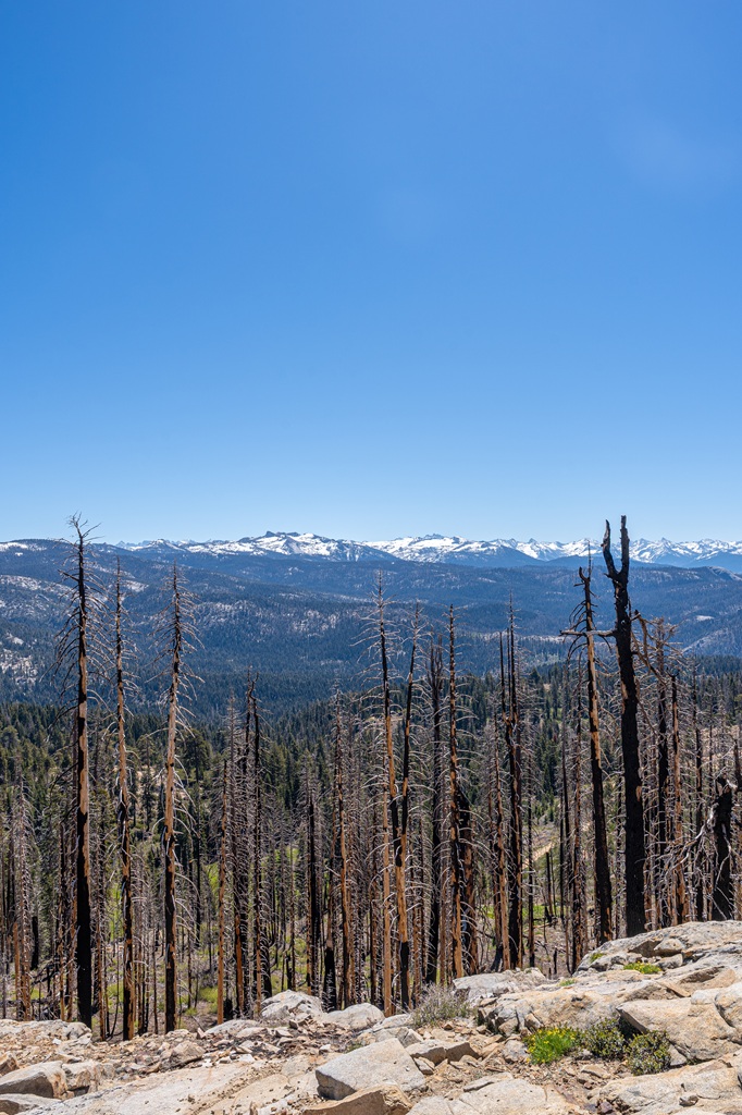 Views of snowy peaks from the summit of Big Baldy in Kings Canyon National Park.