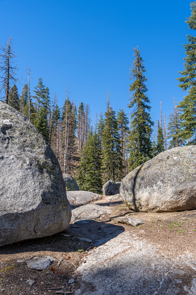 Large boulders seen at the beginning of the Big Baldy Trail in Kings Canyon National Park.