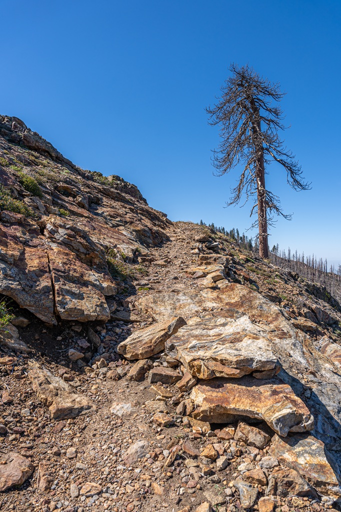 Rocky section along the Big Baldy Ridge Trail in Kings Canyon National Park.