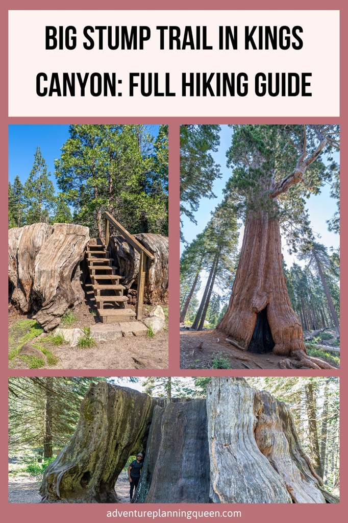 This blog post is a complete guide to hiking the Big Stump Loop Trail in Kings Canyon National Park.