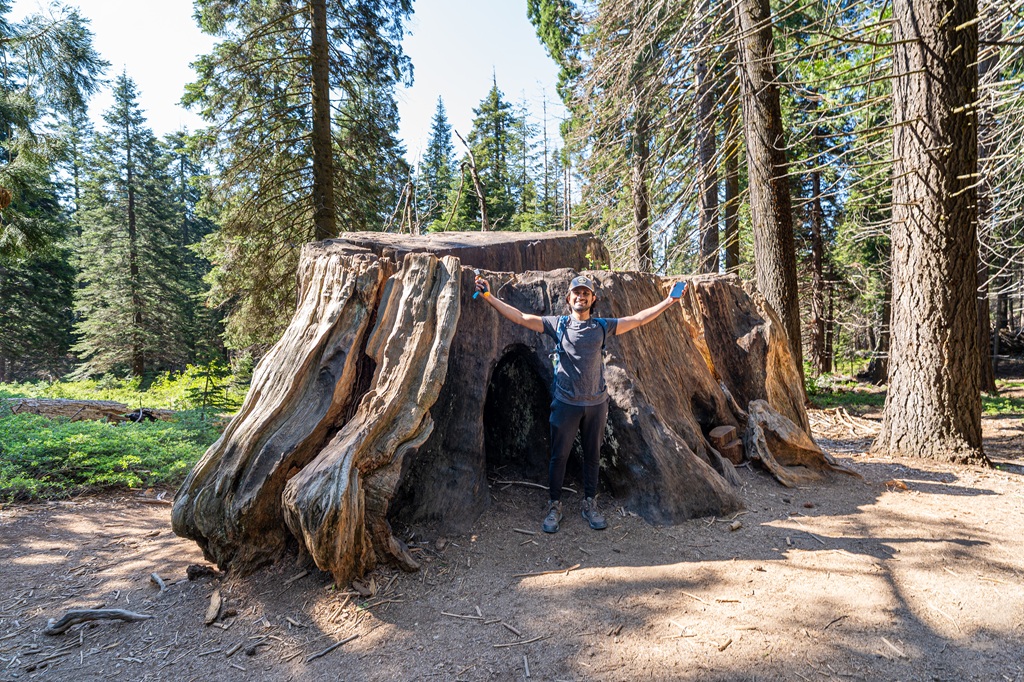 Man standing in front of a giant sequoia stump on the Big Stump Trail in Kings Canyon National Park.