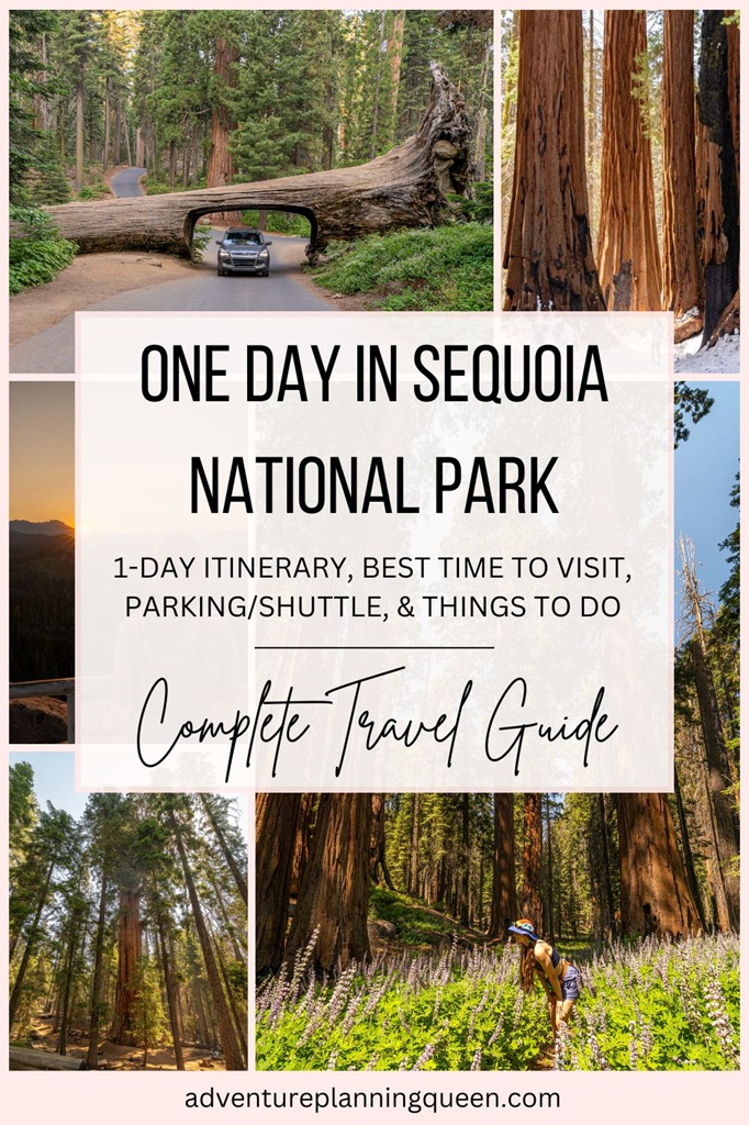 This blog post is a guide on how to visit Sequoia National Park in one day.