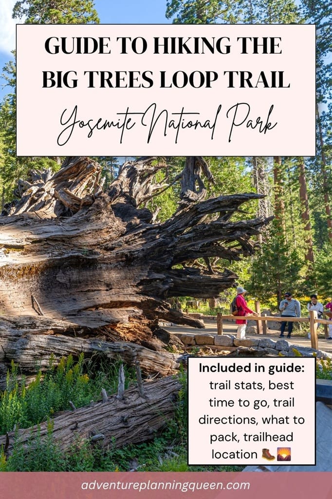 This blog post is a complete guide to hiking the Big Trees Loop Trail in Yosemite National Park.