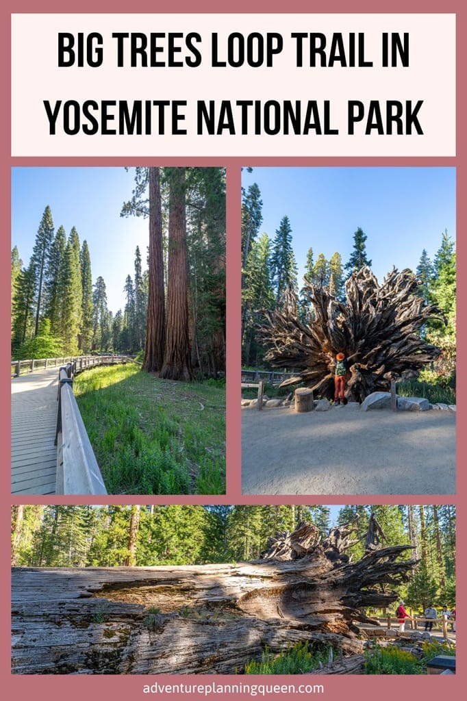 This blog post is an ultimate guide to hiking the Big Trees Loop Trail in Yosemite National Park.