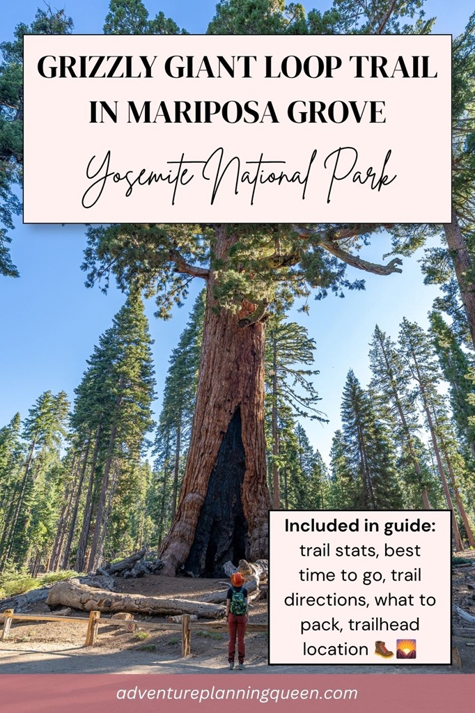 This blog post is a complete guide about hiking the Grizzly Giant Loop Trail in Yosemite National Park.