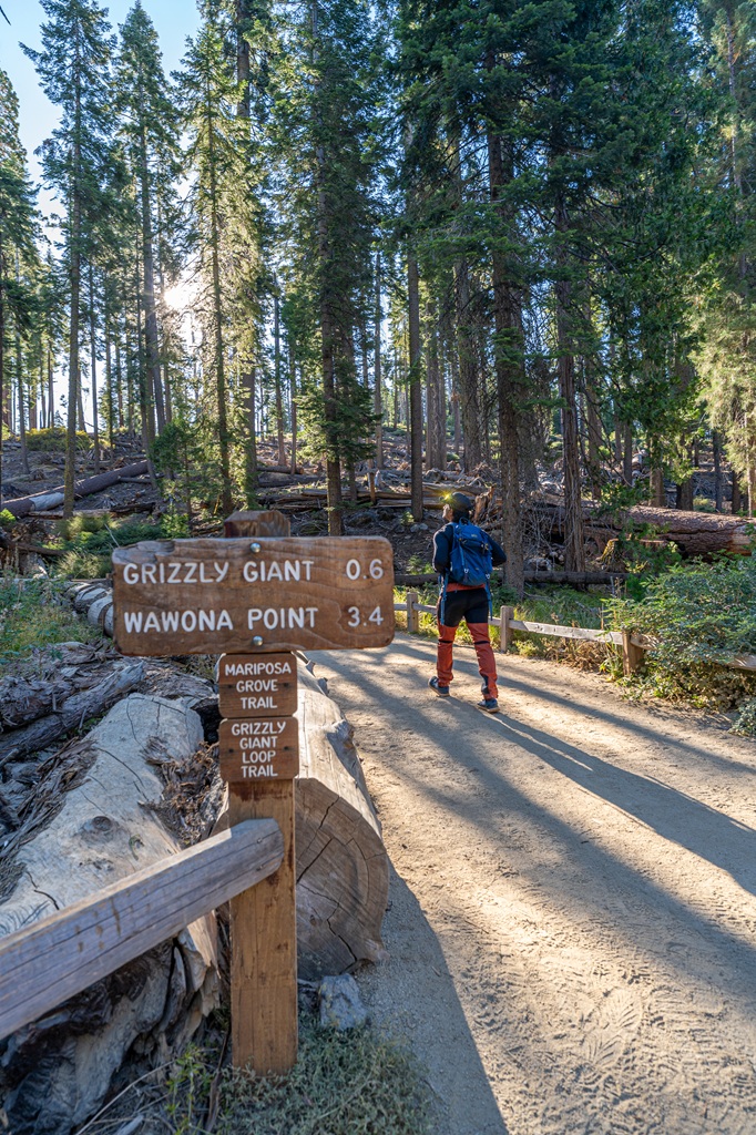 Man hiking along the Mariposa Grove Trail with a trail sign in the forefront indicating distances to Grizzly Giant and Wawona Point.